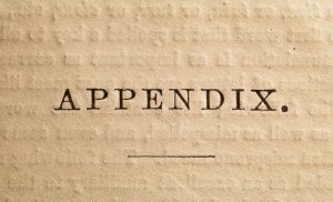 book appendix meaning