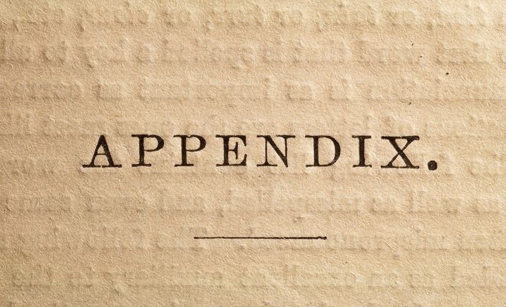 What Is an Appendix in a Book | Visionary Publishers