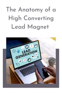 what is a lead magnet in book marketing