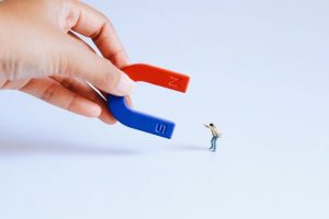 what is a lead magnet in email marketing